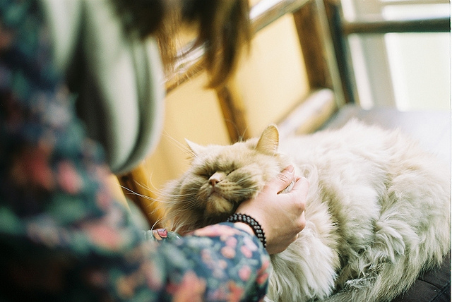 tumblr_mavq9iyag61qmc07eo1_1280