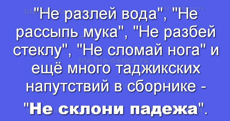 Всего 7 анекдотов, которые развеселят вас не на шутку!